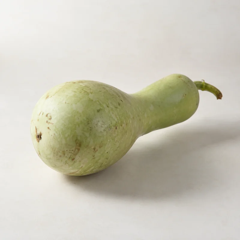 Bottle gourd