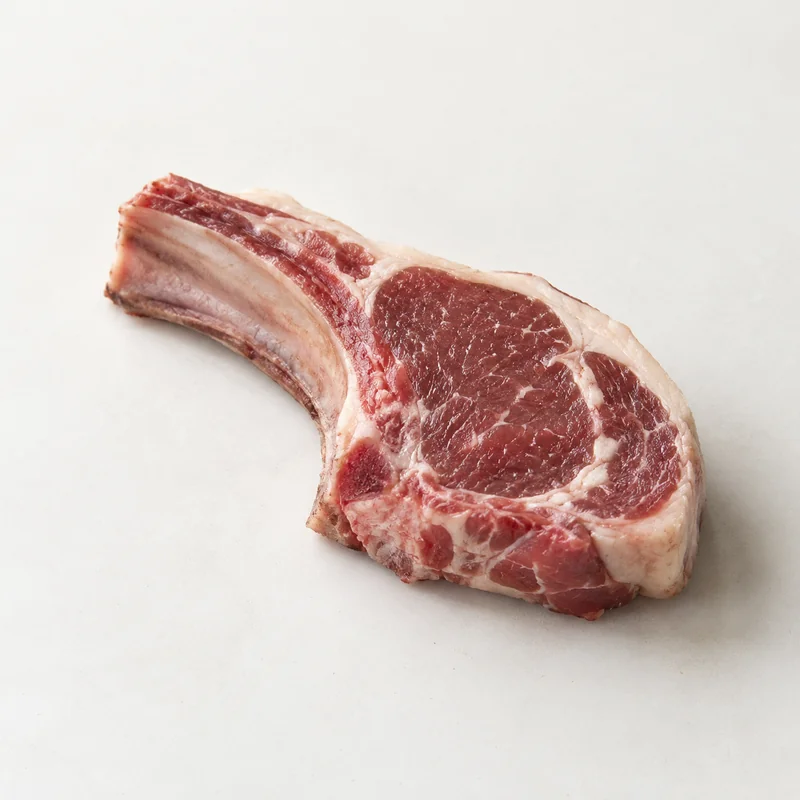Lamb