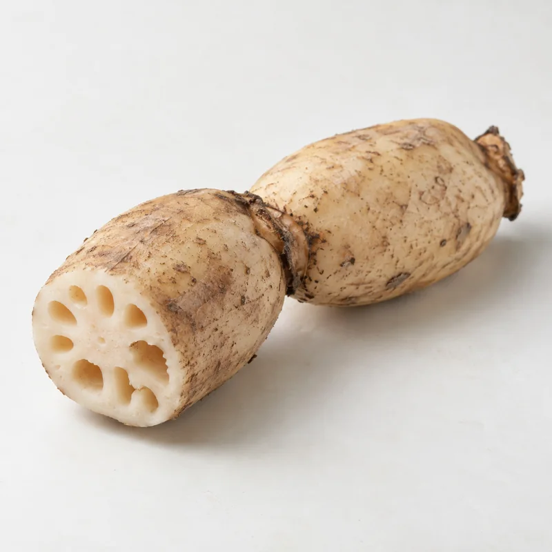 Lotus root