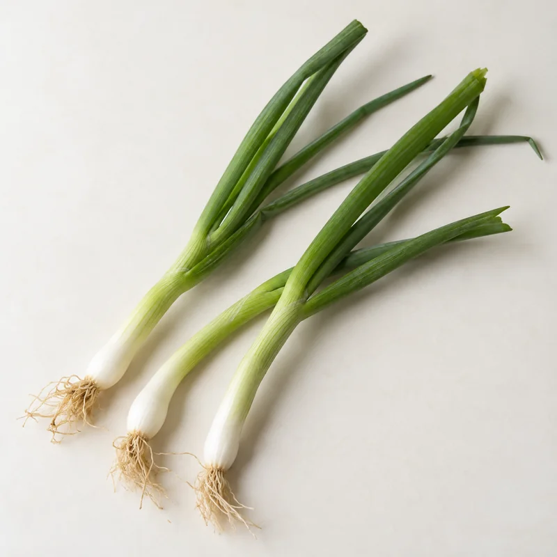Scallion