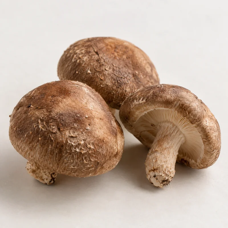 Shiitake mushroom
