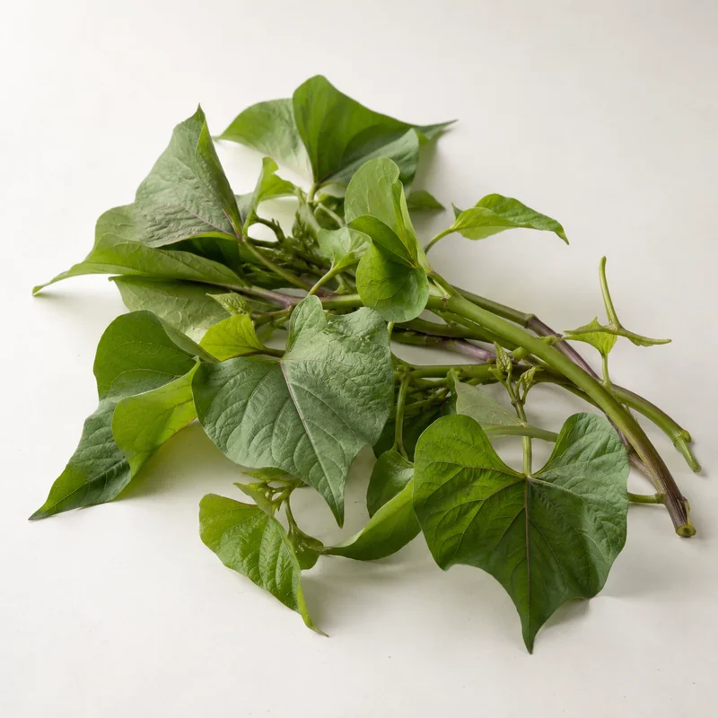 Sweet potato leaves