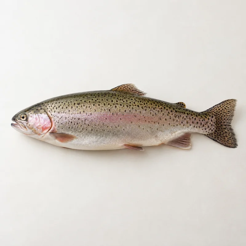 Trout and Arctic char