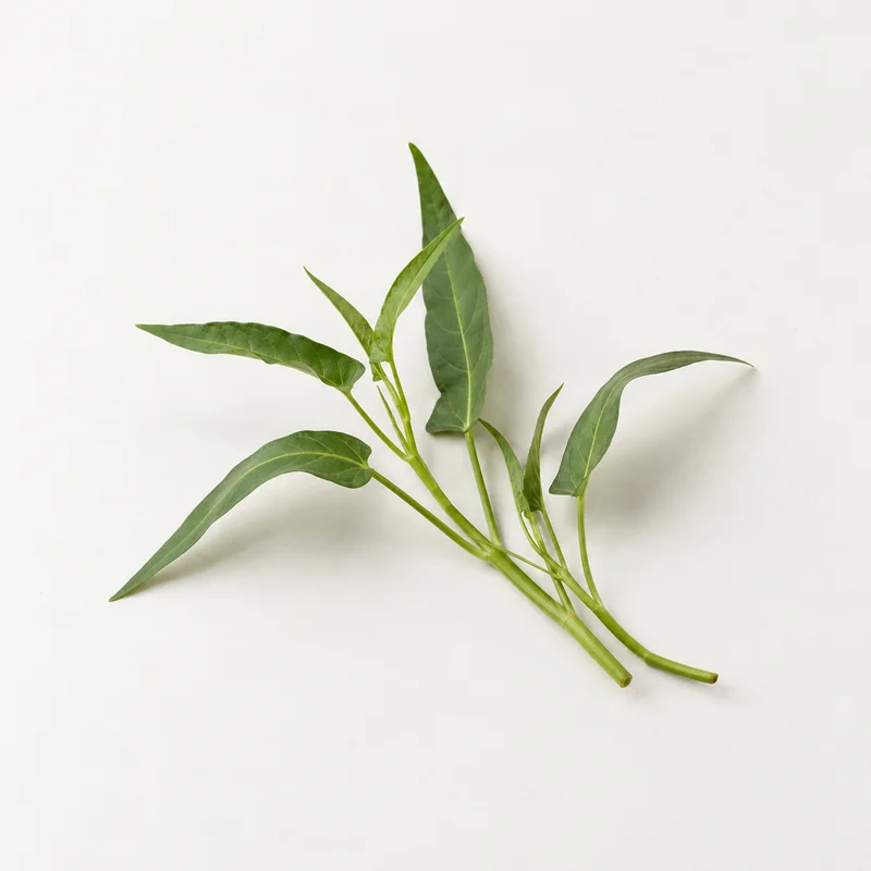 Water spinach